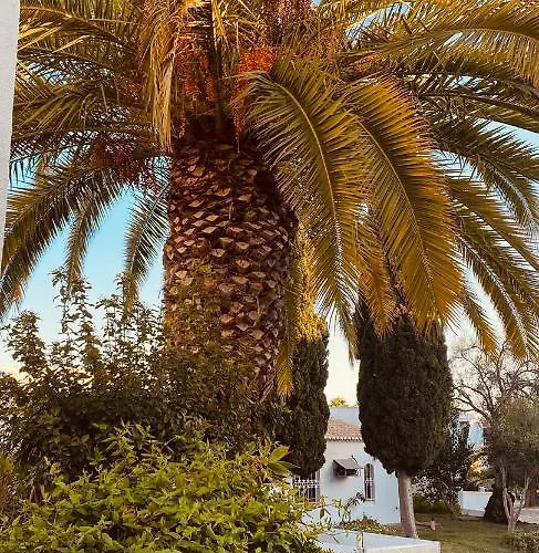 São Rafael Sun Apartamento *