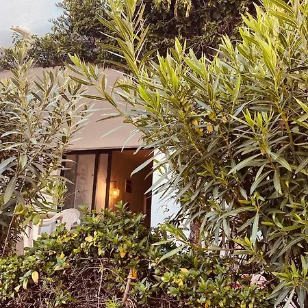 Apartmán Sao Rafael Sun *